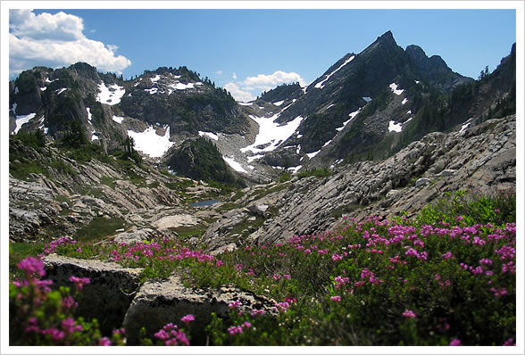 Gothic Basin