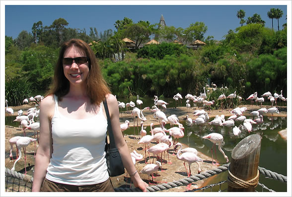Wild Animal Park