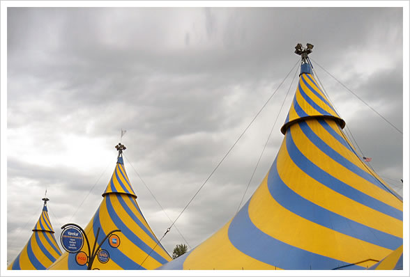 Cirque du Soleil: Varekai