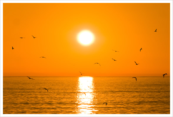 Torrey Pines Beach Sunset
