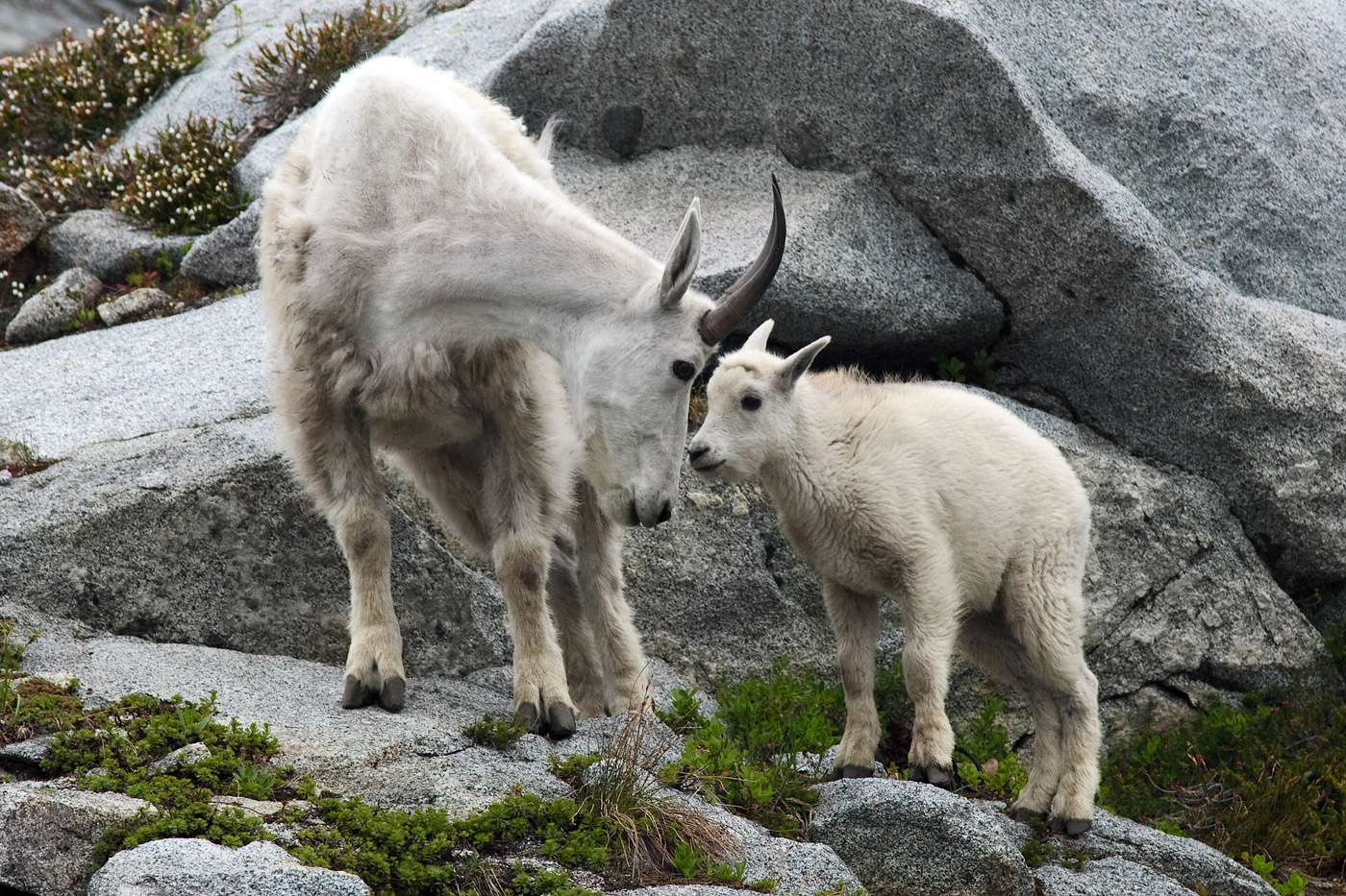 Tuck & Robin Lakes - Photos, Travelogue & Reviews by John & Kristie
